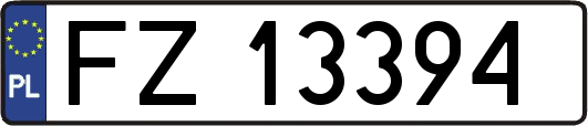 FZ13394