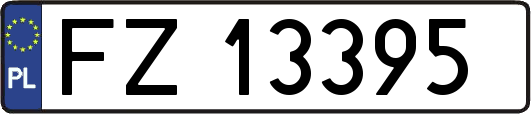 FZ13395