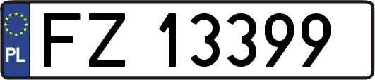FZ13399