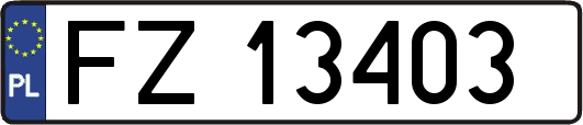 FZ13403