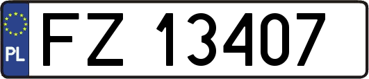 FZ13407