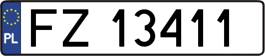 FZ13411