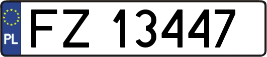 FZ13447