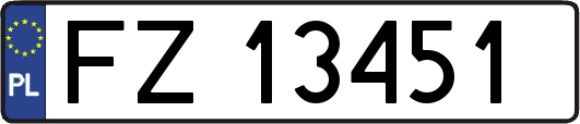 FZ13451