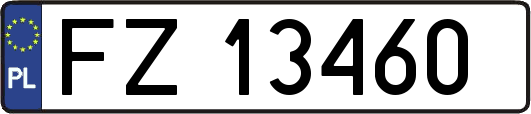 FZ13460