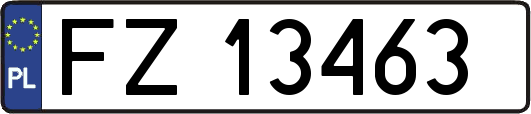 FZ13463