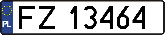 FZ13464