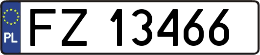 FZ13466