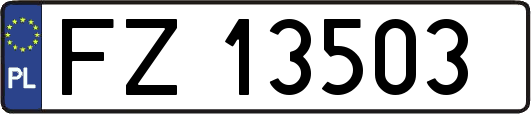 FZ13503