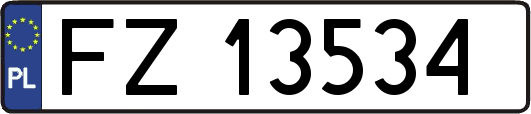 FZ13534