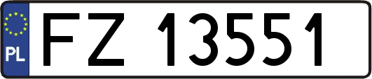 FZ13551