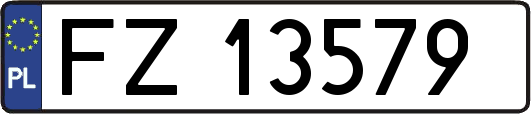 FZ13579