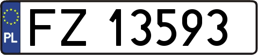 FZ13593