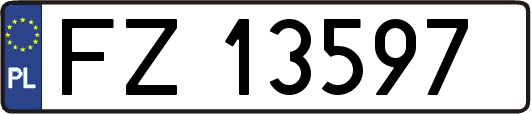 FZ13597