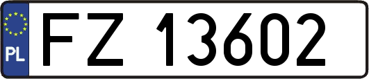 FZ13602