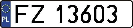 FZ13603