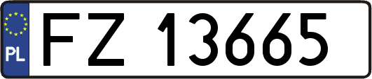 FZ13665