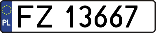 FZ13667