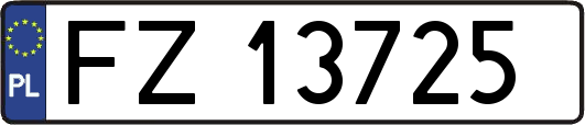 FZ13725