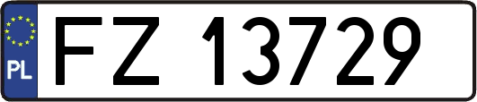 FZ13729