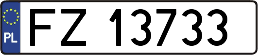FZ13733