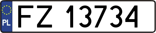 FZ13734
