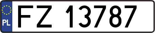 FZ13787