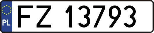 FZ13793