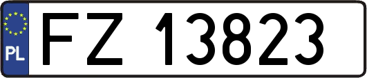 FZ13823