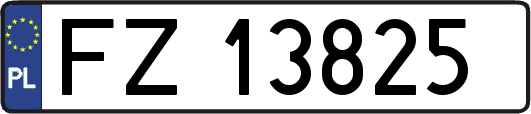 FZ13825
