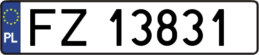 FZ13831