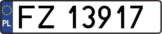 FZ13917