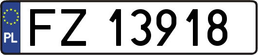 FZ13918