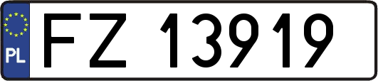 FZ13919