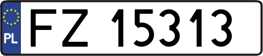 FZ15313