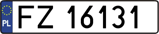 FZ16131