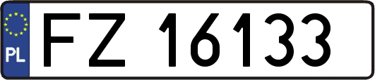 FZ16133
