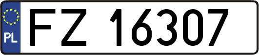 FZ16307