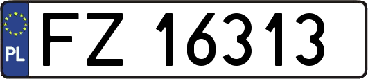 FZ16313
