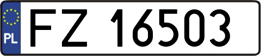 FZ16503