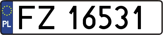FZ16531
