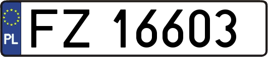 FZ16603