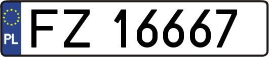 FZ16667