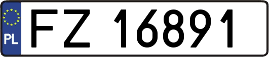 FZ16891