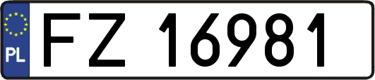 FZ16981