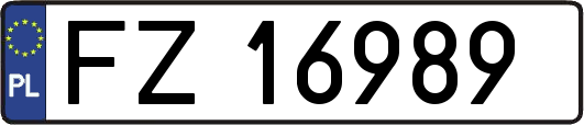 FZ16989