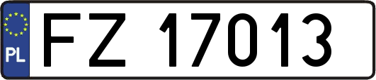 FZ17013