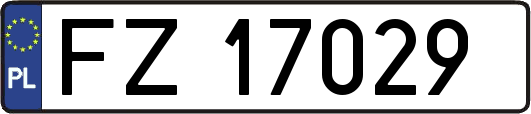 FZ17029