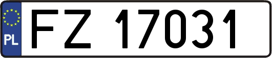 FZ17031