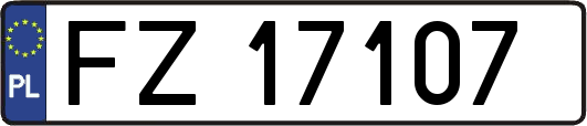 FZ17107